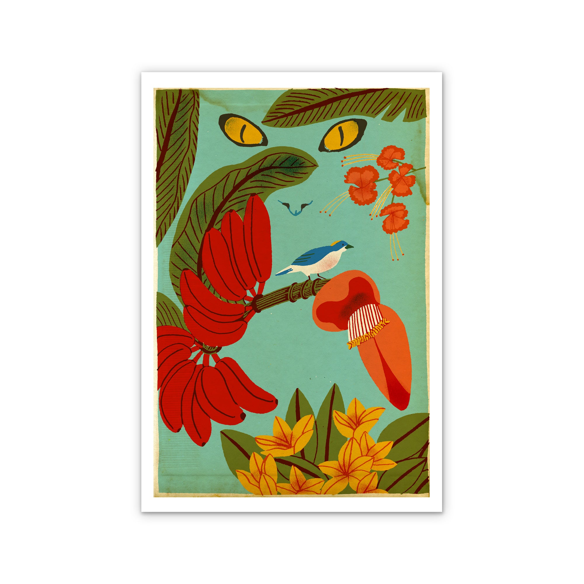 Cats hate birds l Limited Edition
